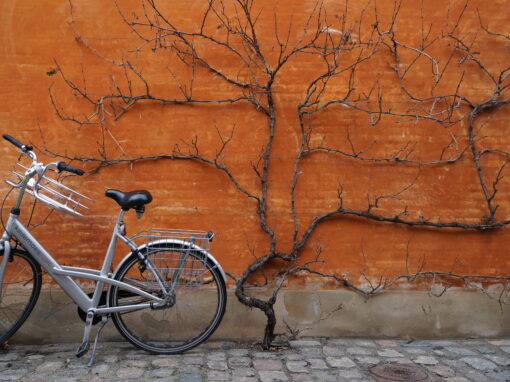 Conférence : Copenhague, capitale du bonheur
